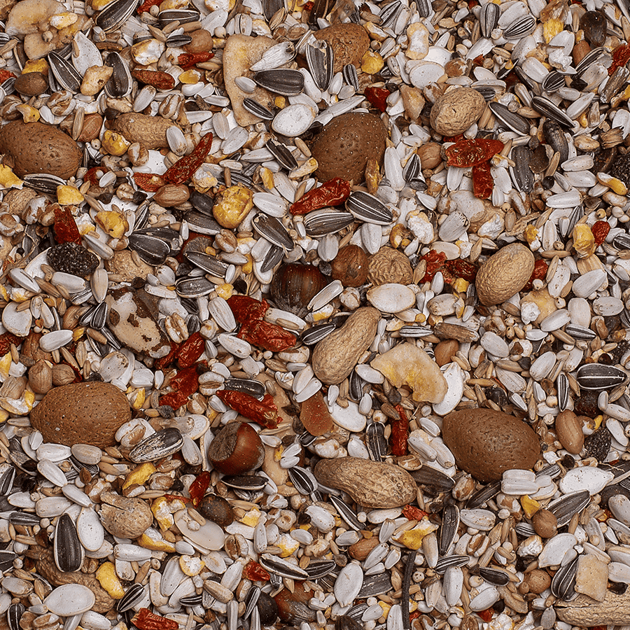 Deli Nature -Exquisit Nuts -Микс Ядки и Семена и Плодове за папагали 750 гр. - Image 2