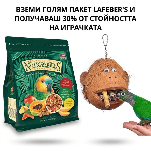 храни и играчки за папагали