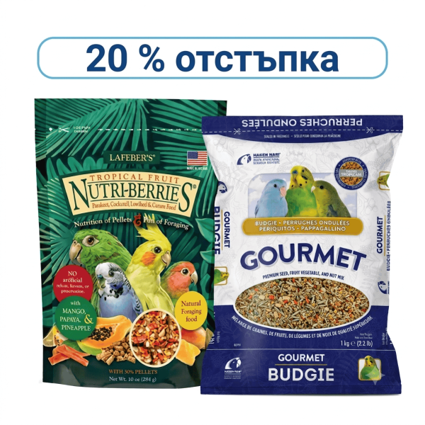 храна за малки папагали