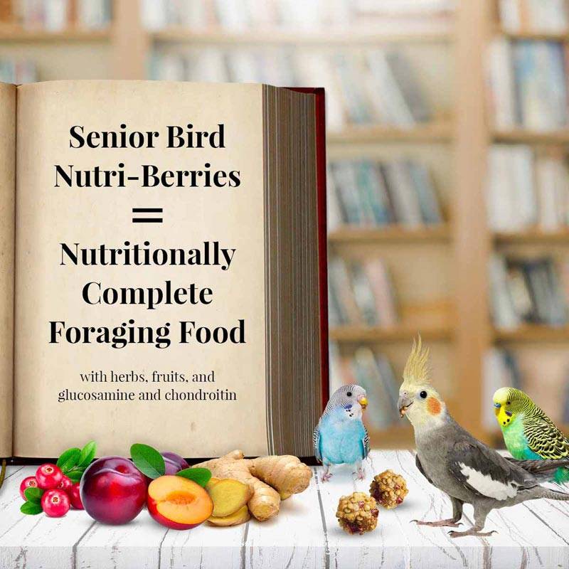 Lafeber Nutri-Berries Senior - Корела