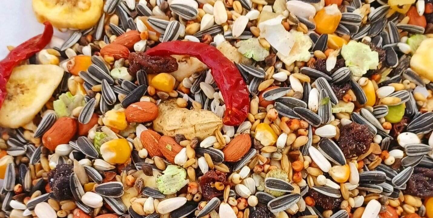 semena za papagali-dietata za papagali